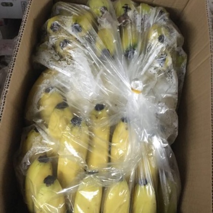 浙江嘉兴市平湖市香蕉 八成熟批发_陈玉琴供应