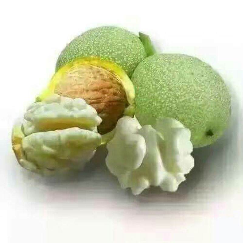 青皮核桃青皮