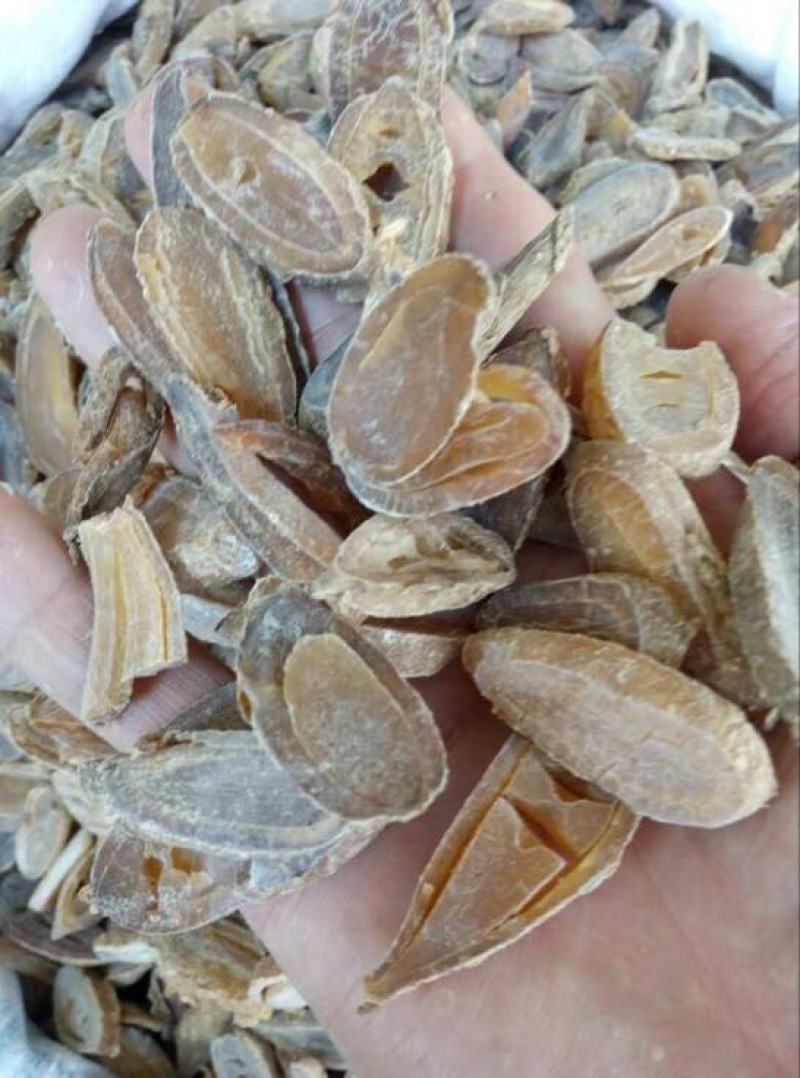 郁金