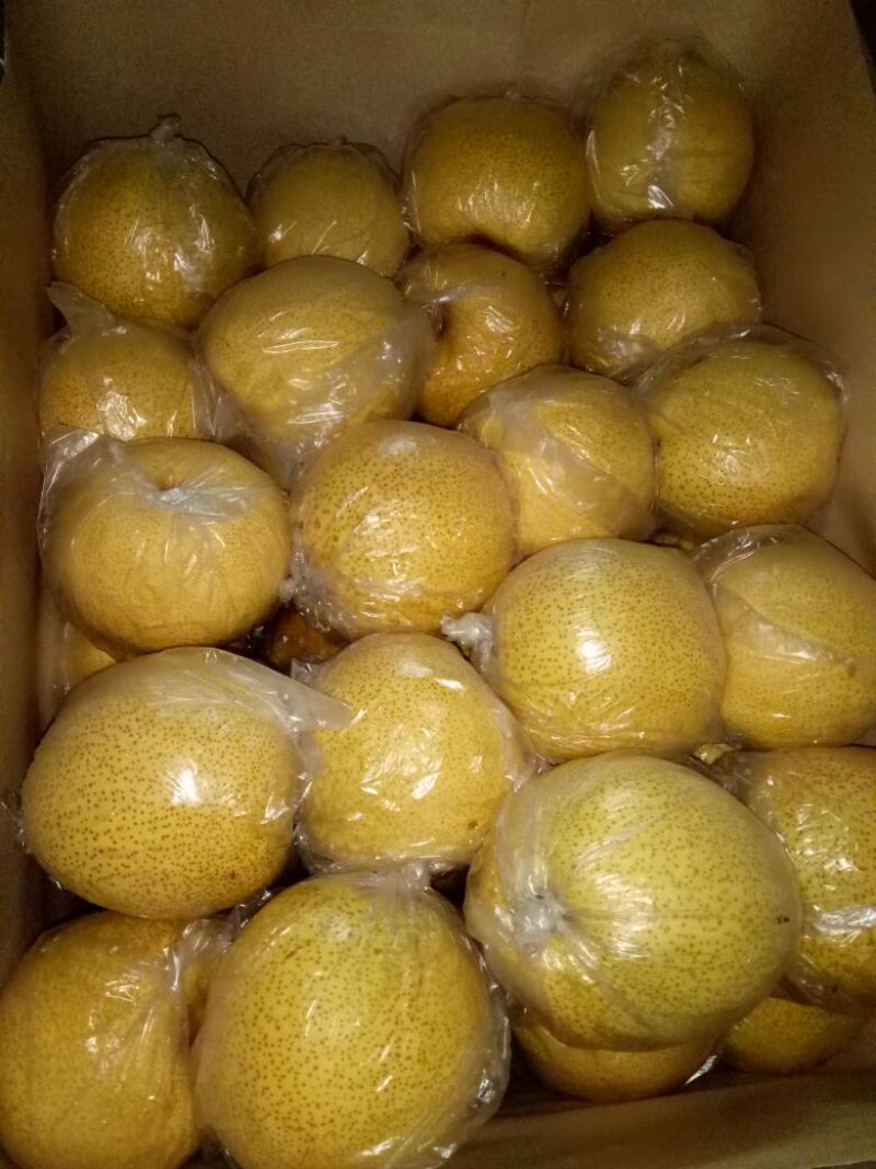 砀山梨膜袋