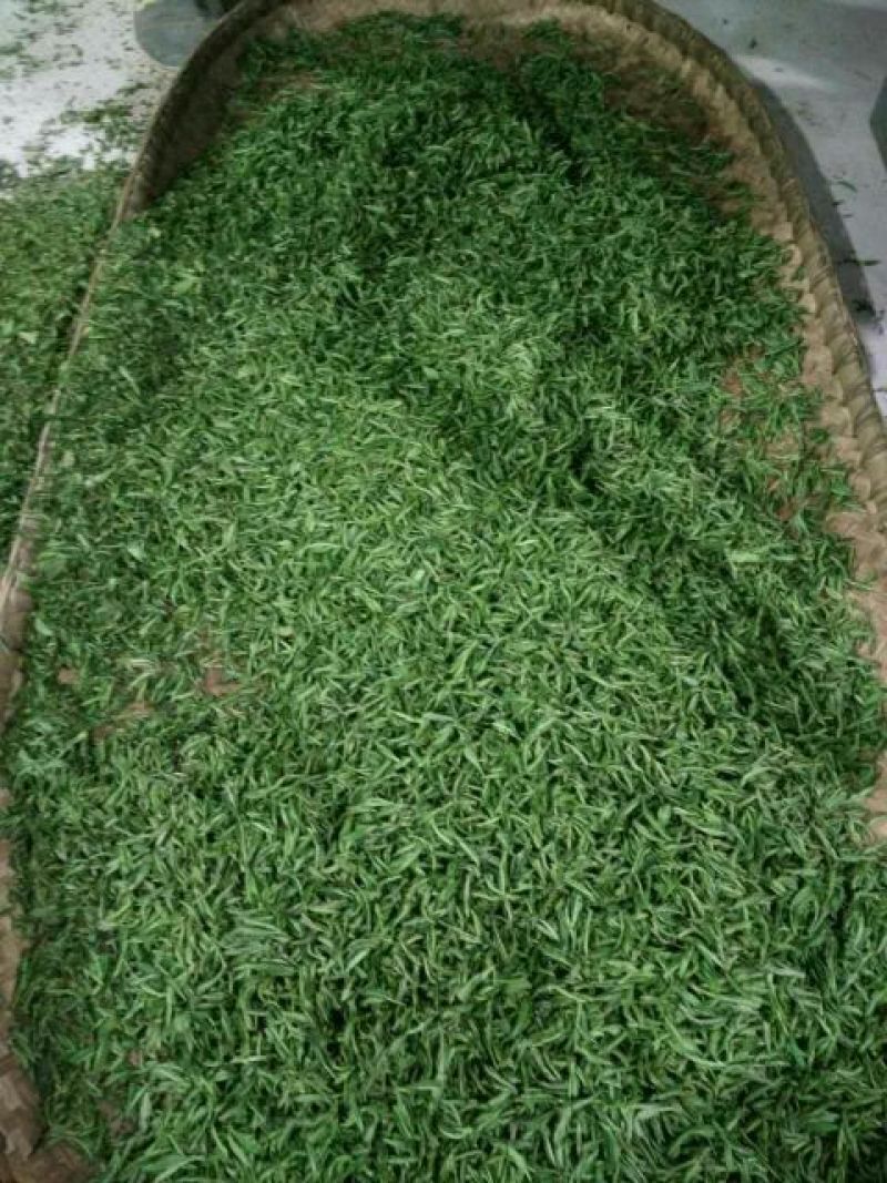 大悟绿茶