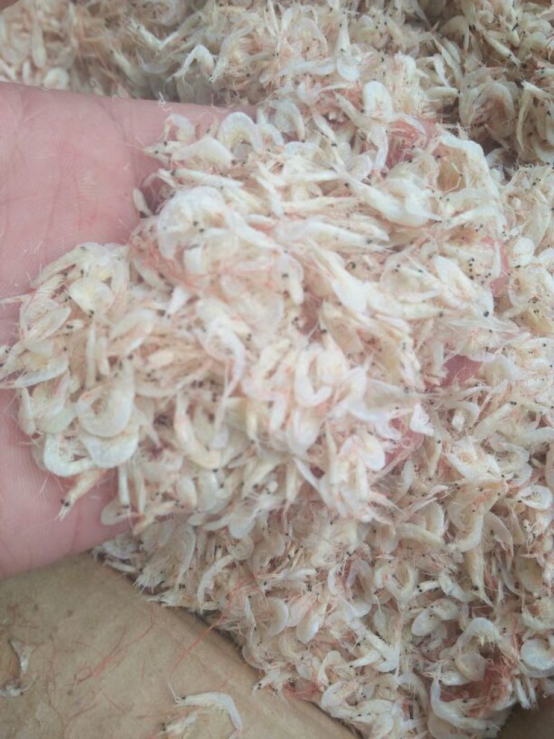 虾皮特级