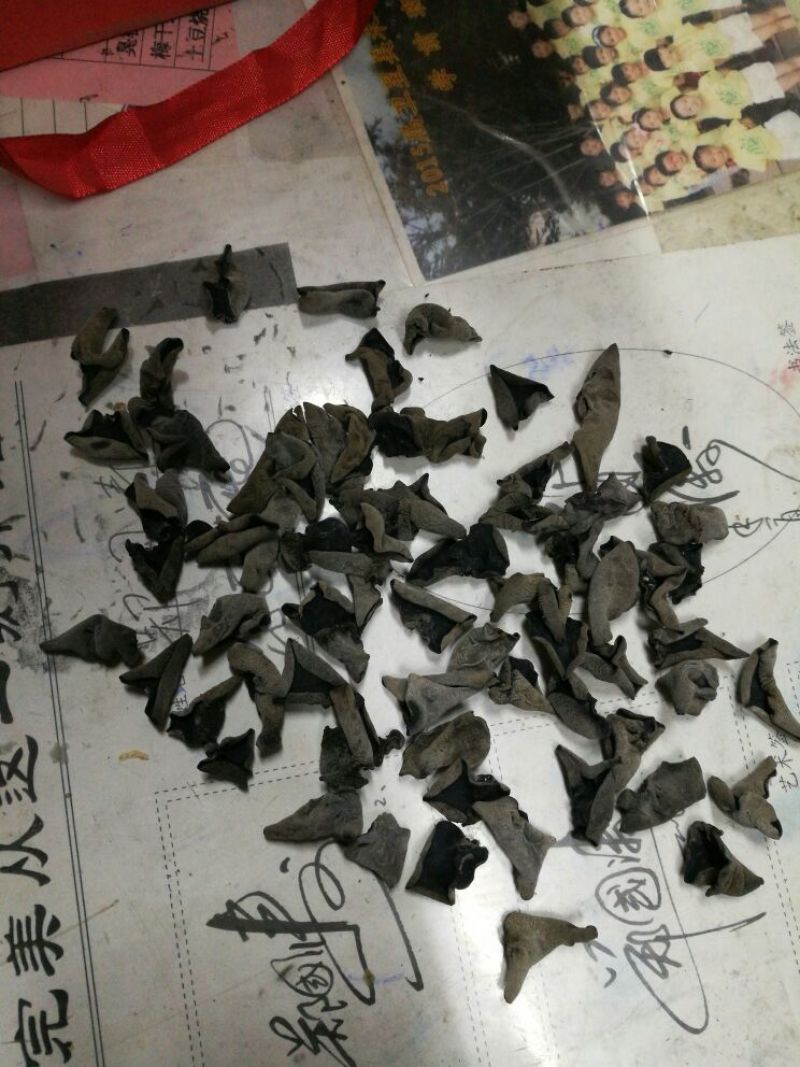 干木耳特级