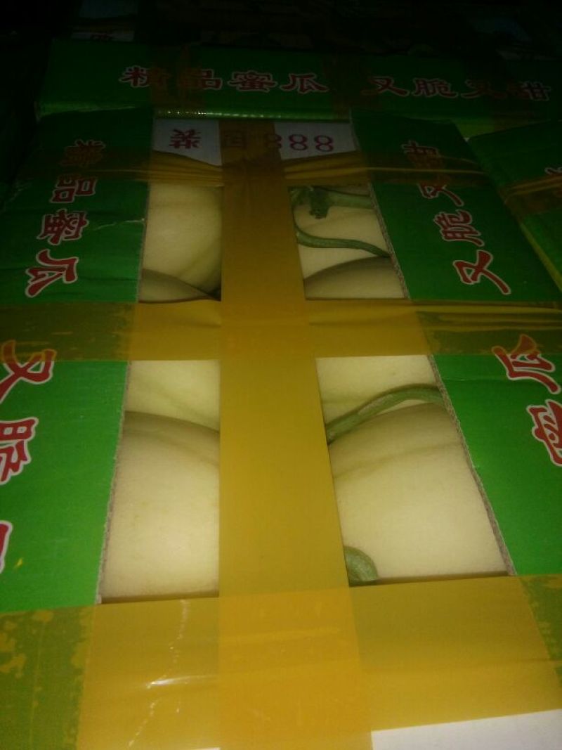 东方密1号哈密瓜1斤以上长圆形