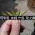 普洱茶