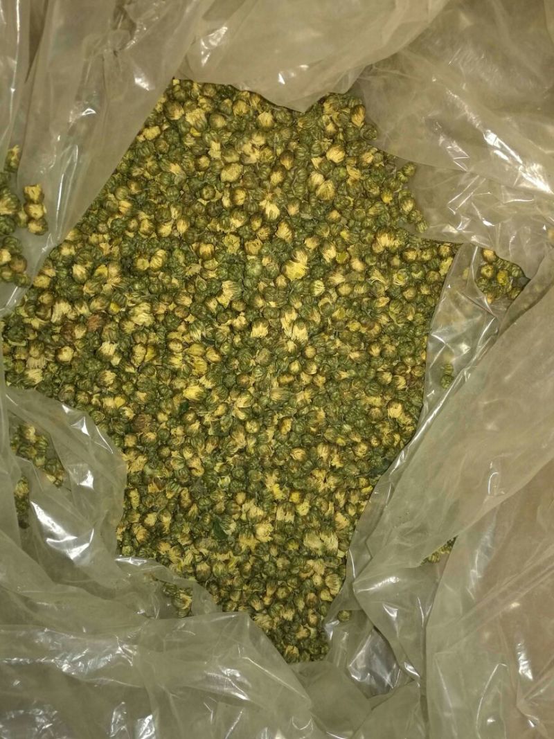 杭州白菊袋装