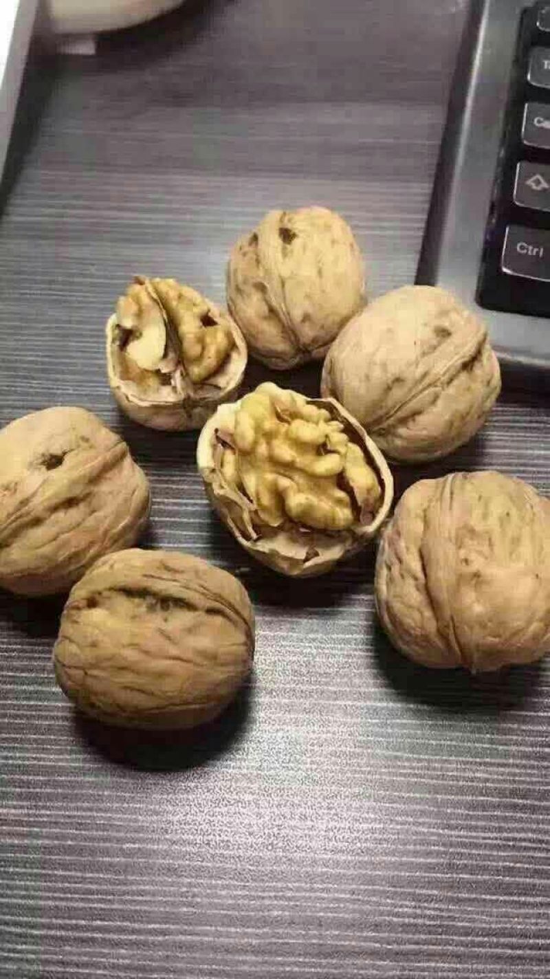 薄皮核桃30mm以上去皮干