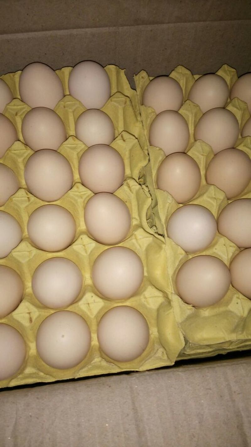 粉蛋食用40~50g