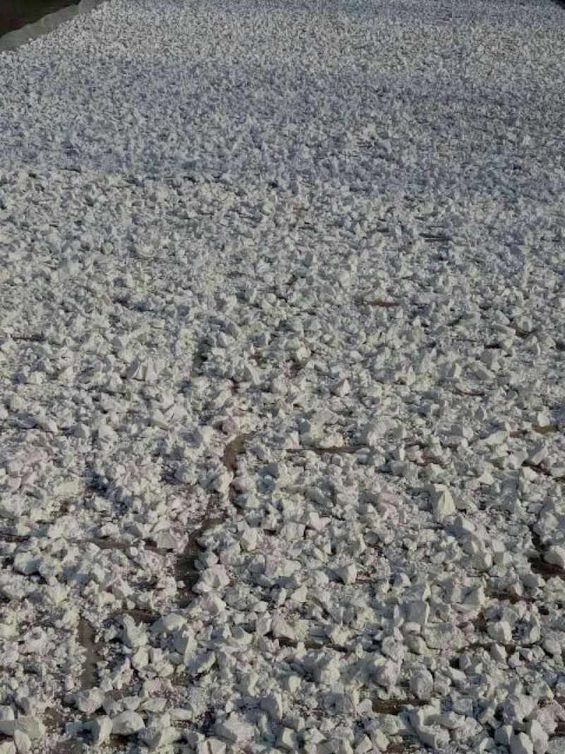 红薯淀粉散装
