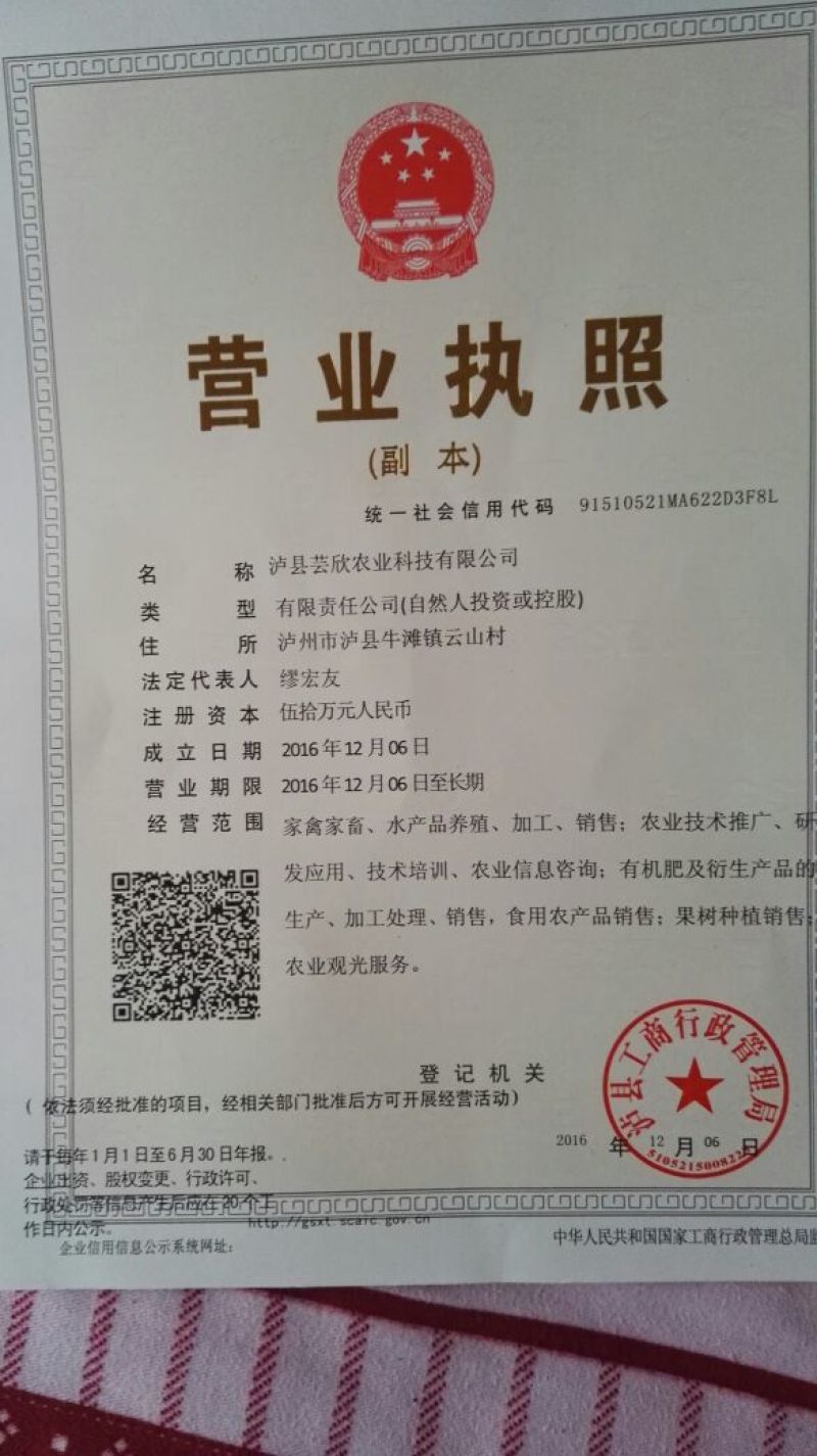 蝇蛆活蛆