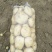 荷兰十五土豆1两以上精品