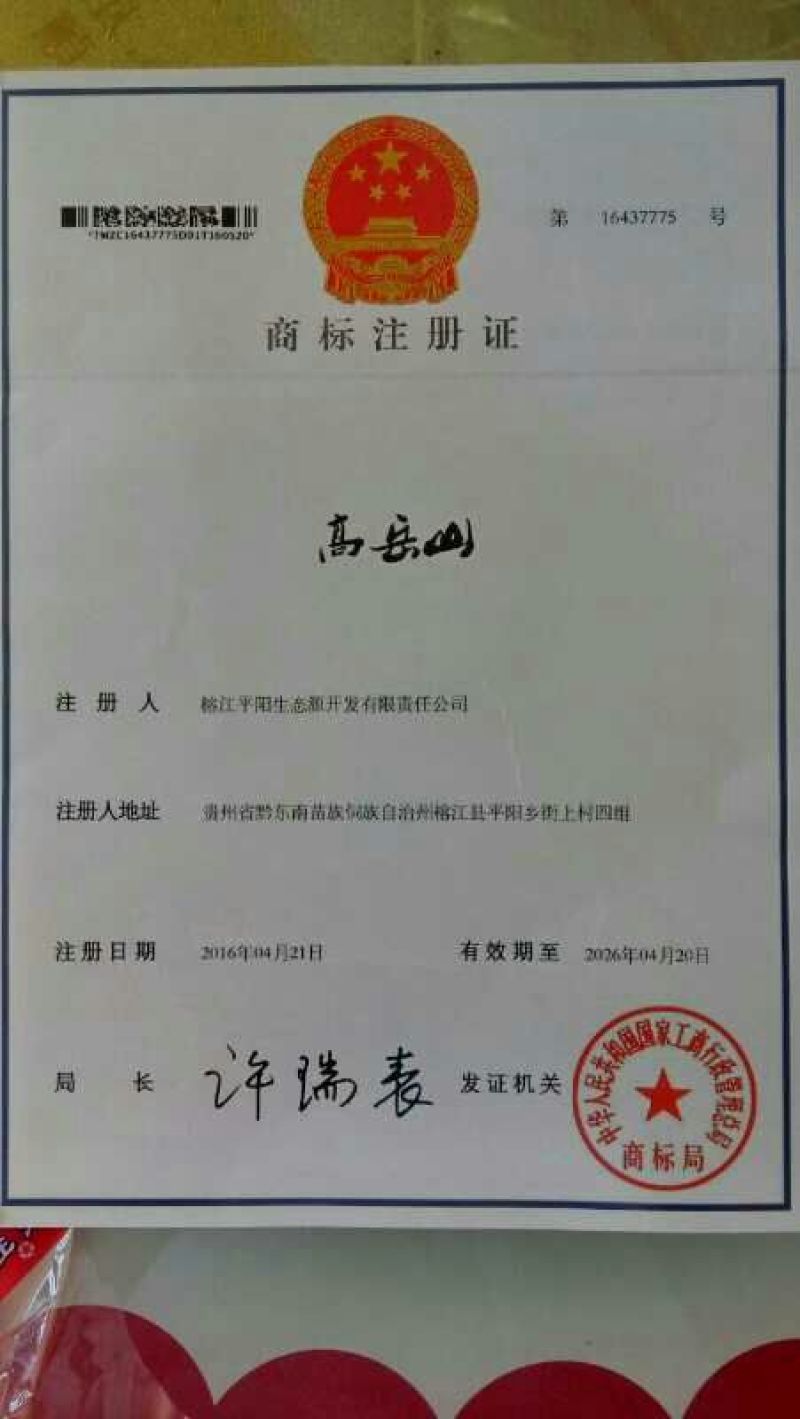 青钱柳茶一级