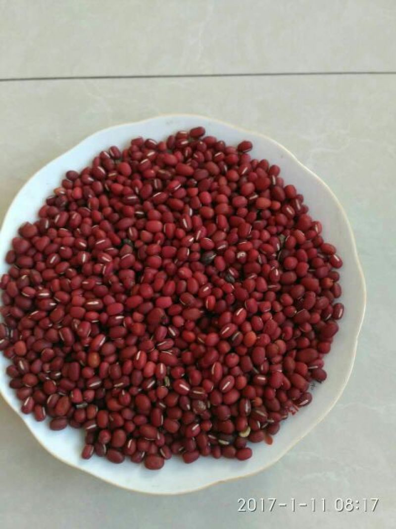 红小豆散装