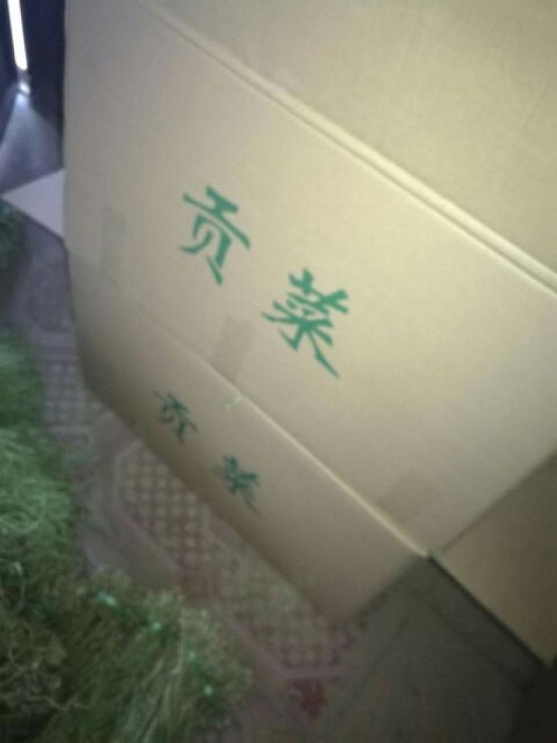 云南贡菜干响菜产地直供货源充足品质保证