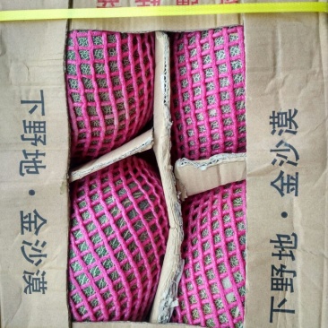 西州蜜瓜3斤以上椭圆形