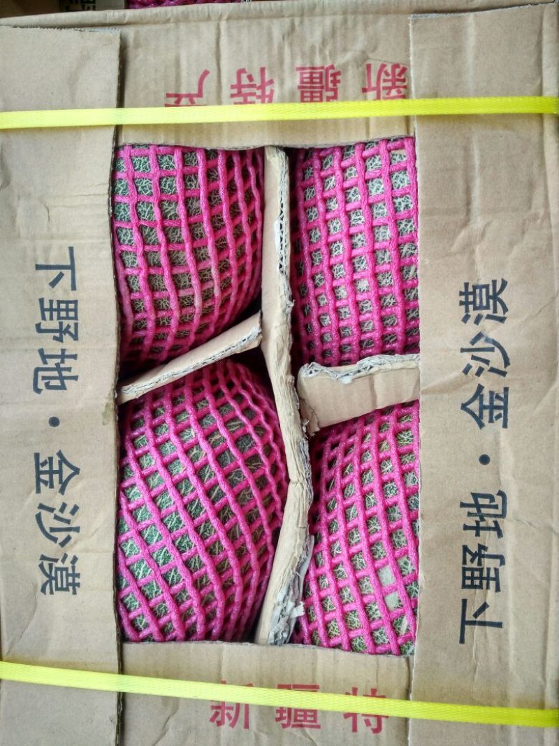 西州蜜瓜3斤以上椭圆形