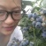 蓝莓鲜果12~14mm以上