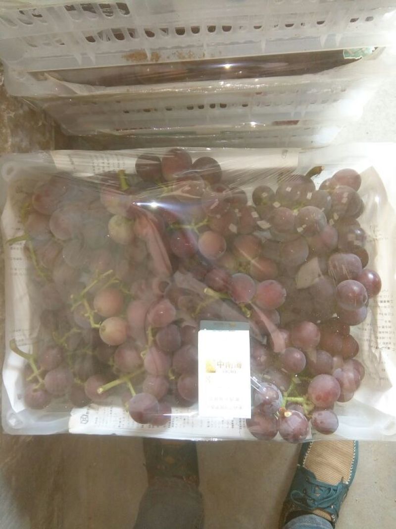 巨峰葡萄5%以下0.8~1斤