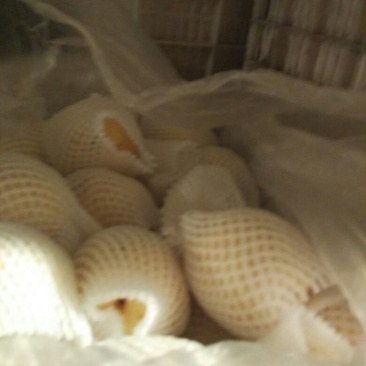 皇冠梨纸袋
