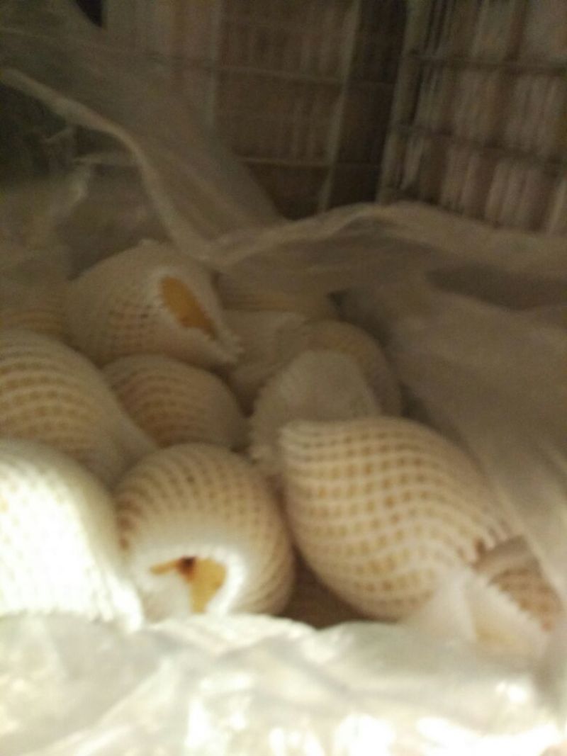 皇冠梨纸袋
