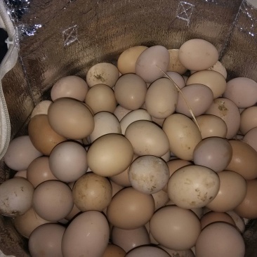 土鸡蛋食用50g以下