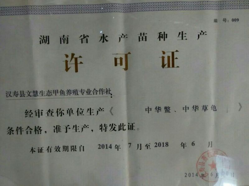 中华鳖养殖专业合作社，常年供应四两以上甲鱼苗，