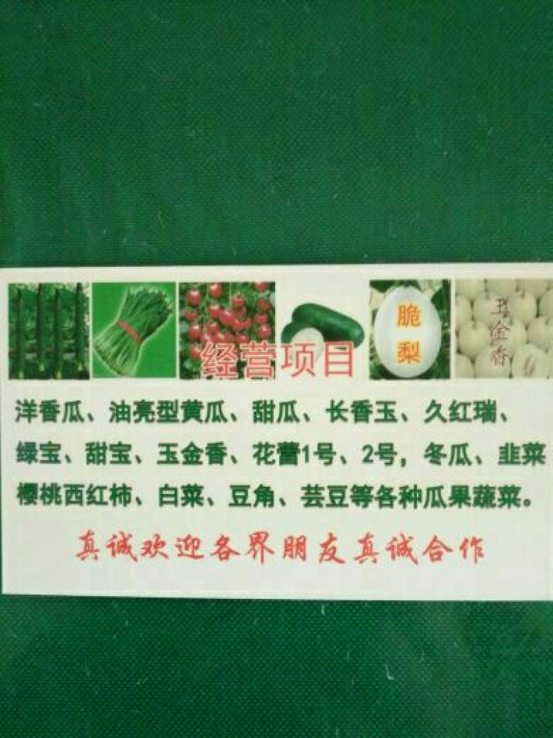 福娃人参果，甜瓜香瓜哈密瓜基地品种上百种