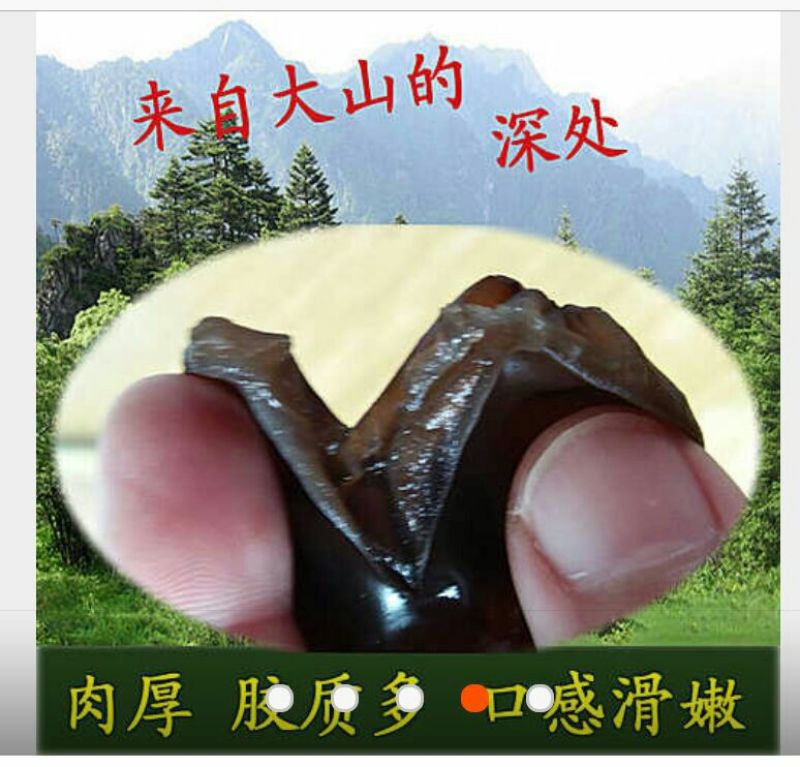 黑木耳一级