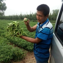 山西晋中市介休市郭东岳的农产品批发\/采购