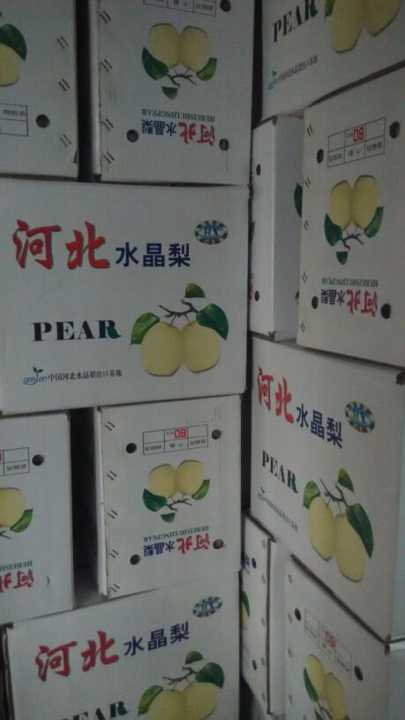 鸭梨纸箱250~300g