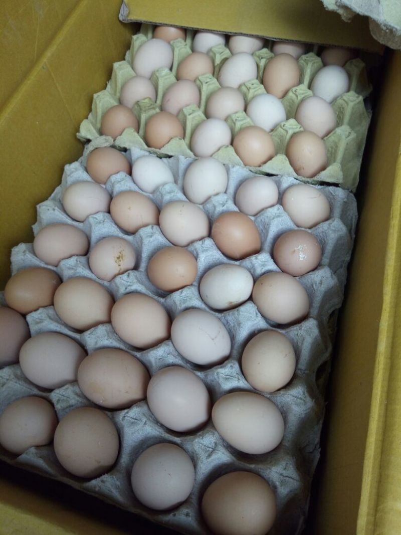 粉蛋50~60g食用