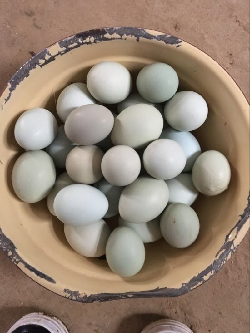 土鸡蛋