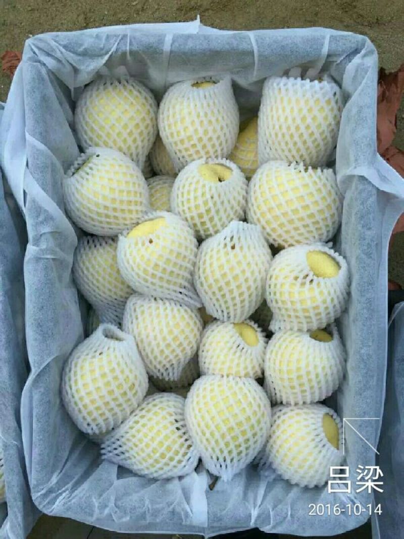 贡梨纸袋200~250g