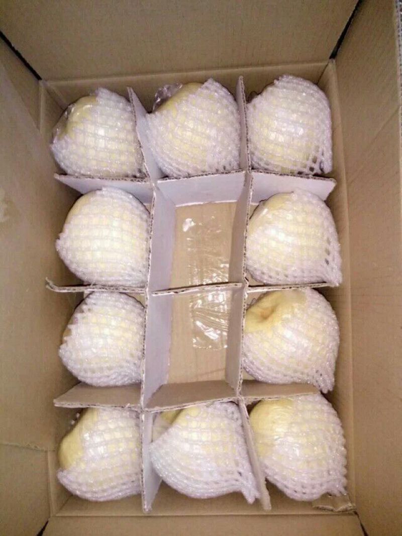 酥梨250~300g纸箱