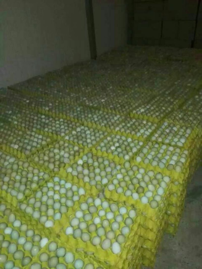 野鸡蛋食用50g以下
