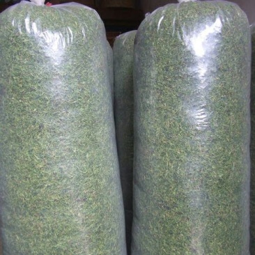 金银花色青花