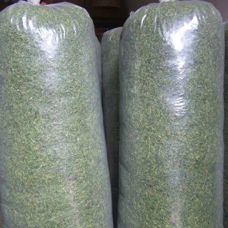 金银花色青花