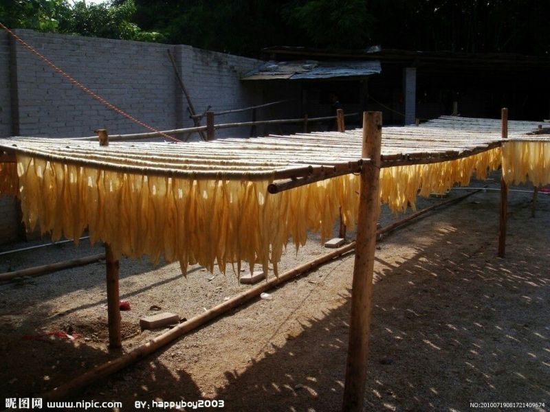 腐竹