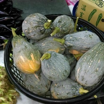 香芋南瓜2~3斤以上长条形