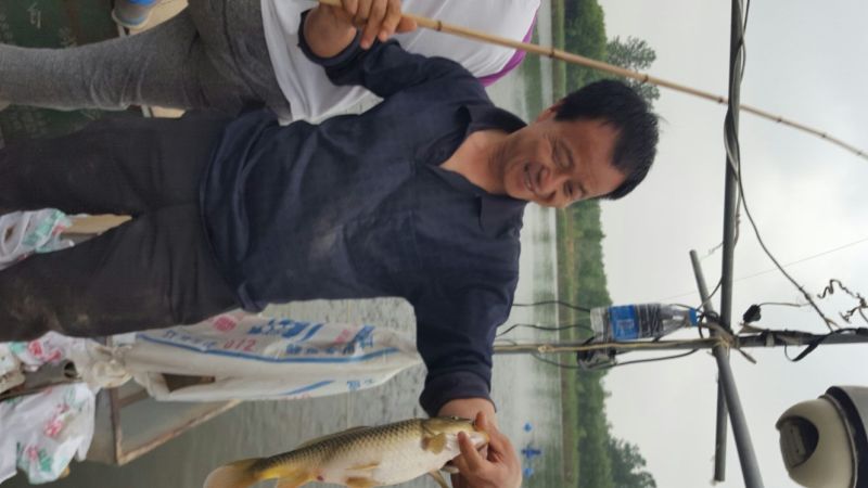 池鲤鱼食用1~2公斤
