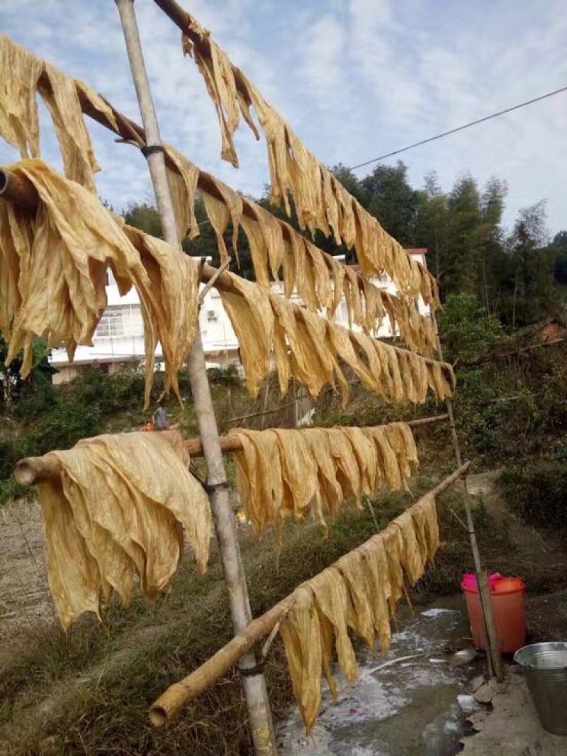 腐竹