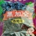 新疆185核桃30mm以上去皮干