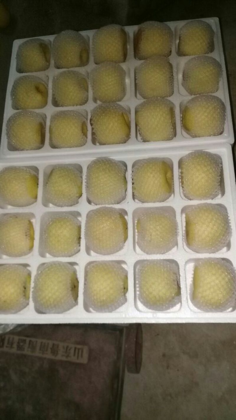 砀山梨250~300g纸箱