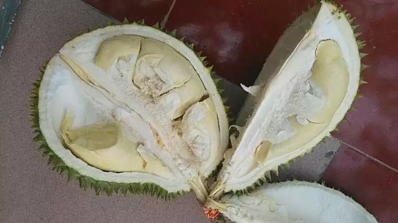 干荛榴莲5~8斤