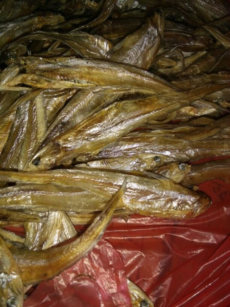 毛花鱼干