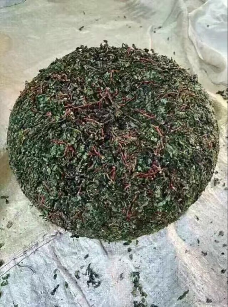 观音茶