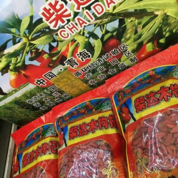 红枸杞头茬