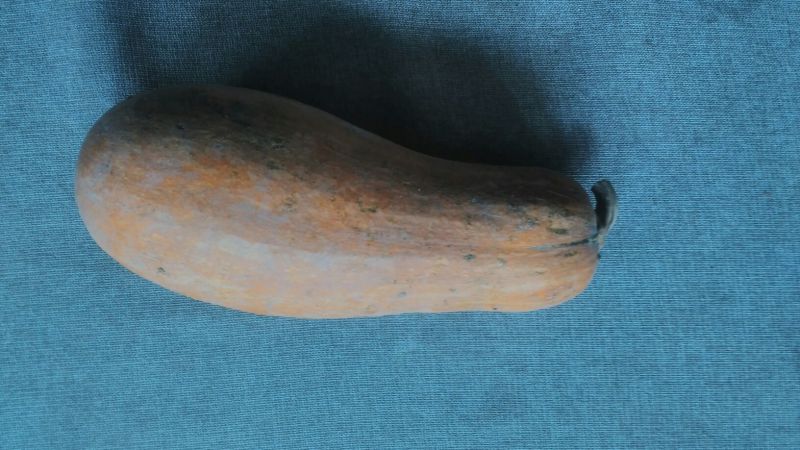 牛腿南瓜3~4斤以上长条形