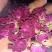 玫瑰花茶