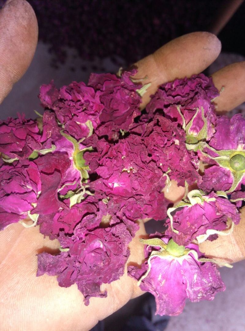 玫瑰花茶